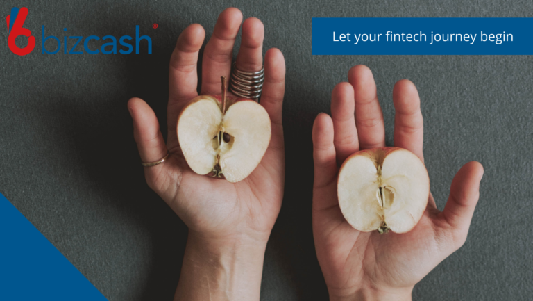 Bizcash business optimisation