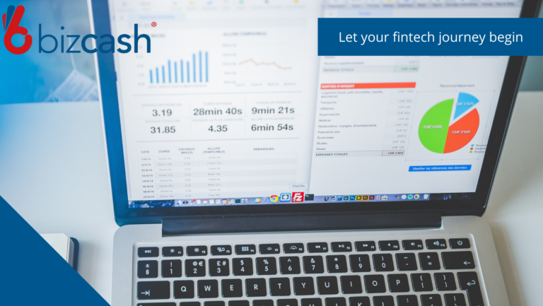 Bizcash BI Dashborad