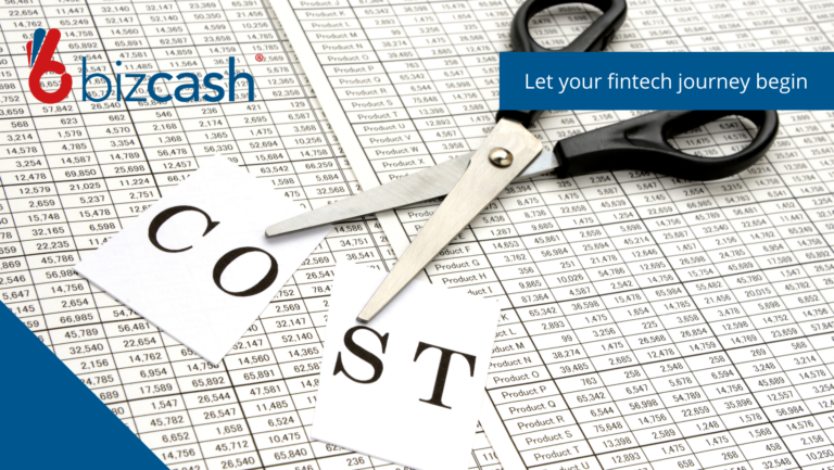 Bizcash save costs in your business for improved profits